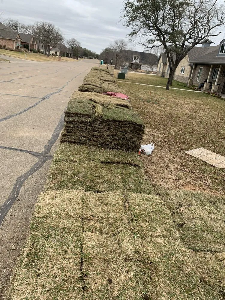 Expert lawn care service in Temple, TX - Country Side Lawn Care