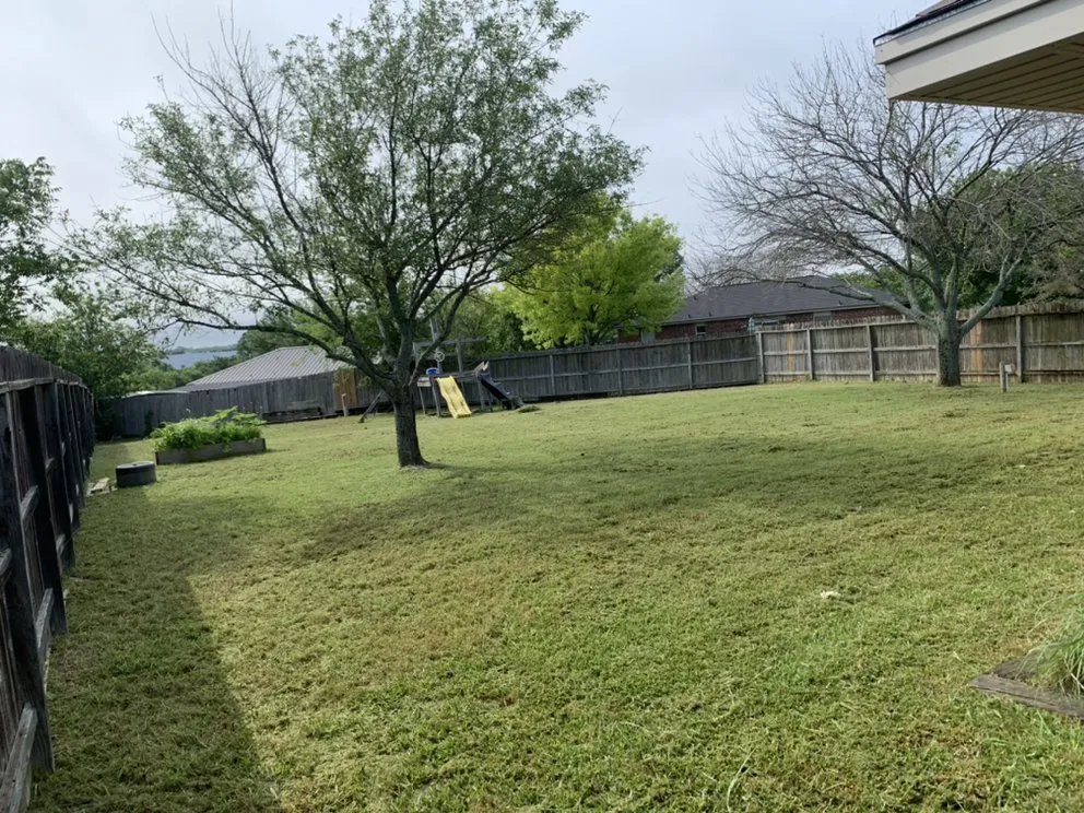 Professional landscape installation in Temple, TX - Country Side Lawn Care