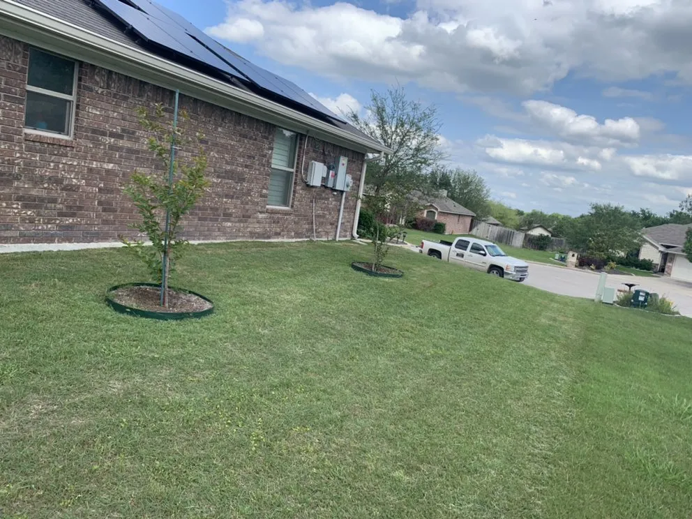Expert landscape installation in Temple, TX - Country Side Lawn Care