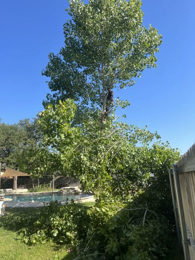 Reliable yard cleanup service in Temple, TX - Country Side Lawn Care