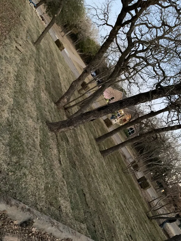 Affordable lawn care service for year-round maintenance in Temple, TX by Country Side Lawn Care