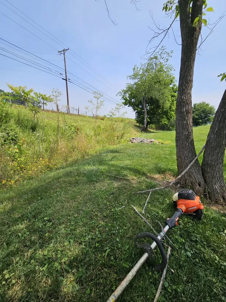 Local landscape design in Bristol, TN - Country Side Mowing