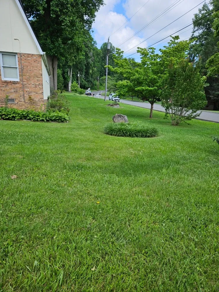 Expert landscaping services experts serving Bristol, TN - Country Side Mowing