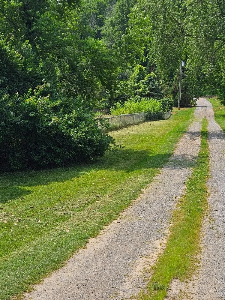 Expert landscape design with custom design across Bristol, TN - Country Side Mowing