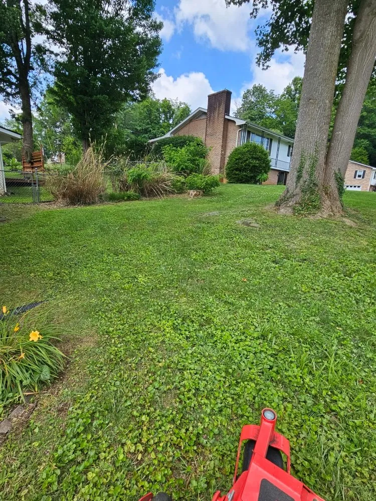 Expert landscaping services in Bristol, TN - Country Side Mowing