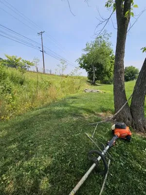 Country Side Mowing Logo