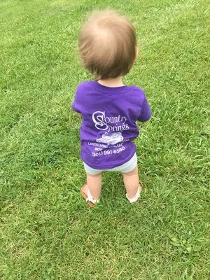Country Springs Landscaping, Lawn Service, & Snow Removal Logo