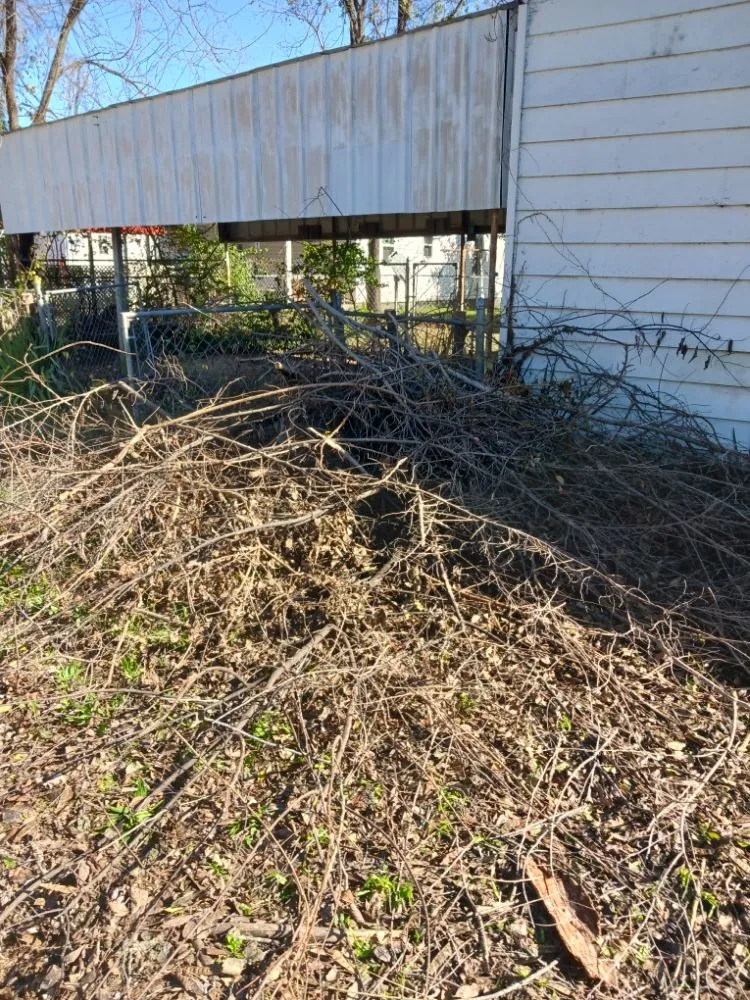 Affordable yard cleanup service in Parkhills, MO by Country Way Nursery