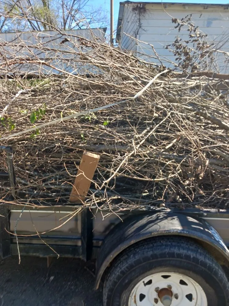 Affordable landscaping services experts serving Parkhills, MO - Country Way Nursery