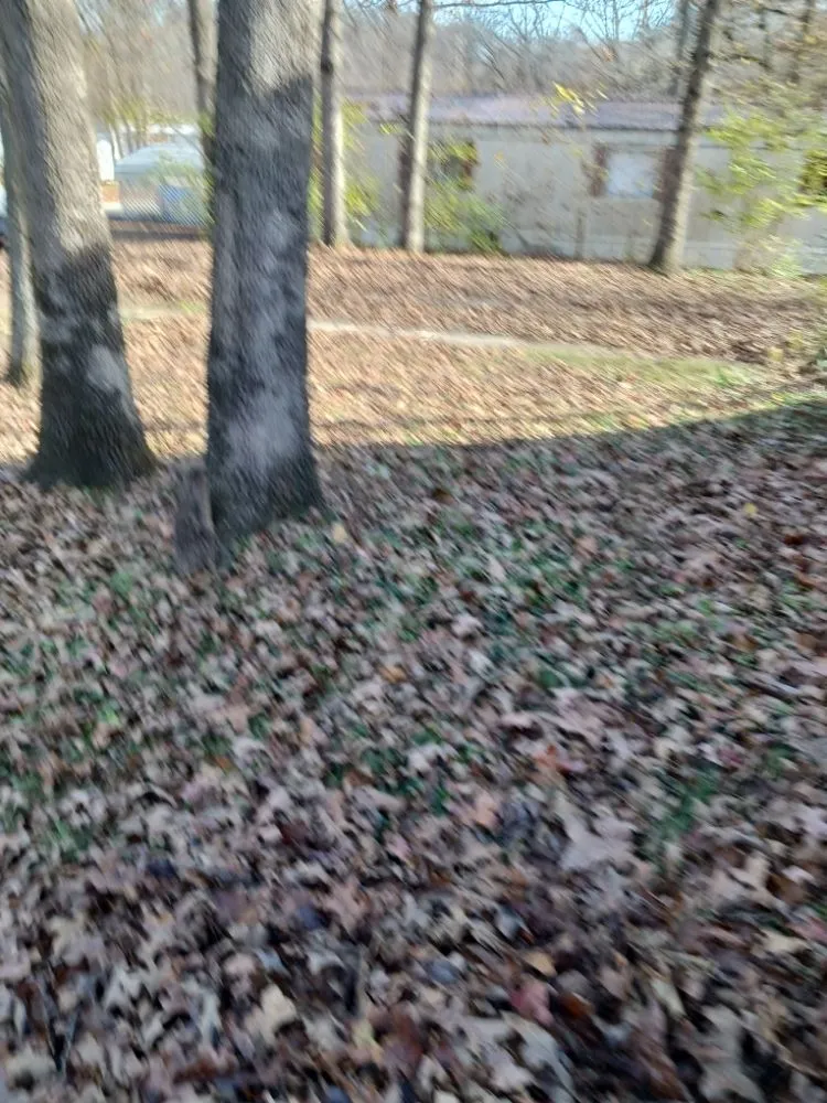 Professional garden landscaping experts serving Parkhills, MO - Country Way Nursery