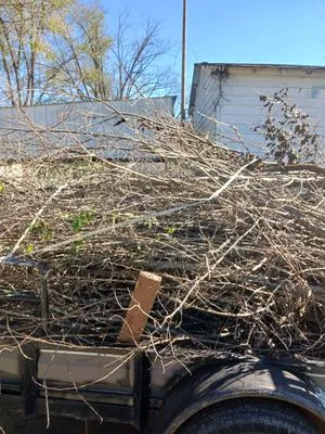 Country Way Nursery