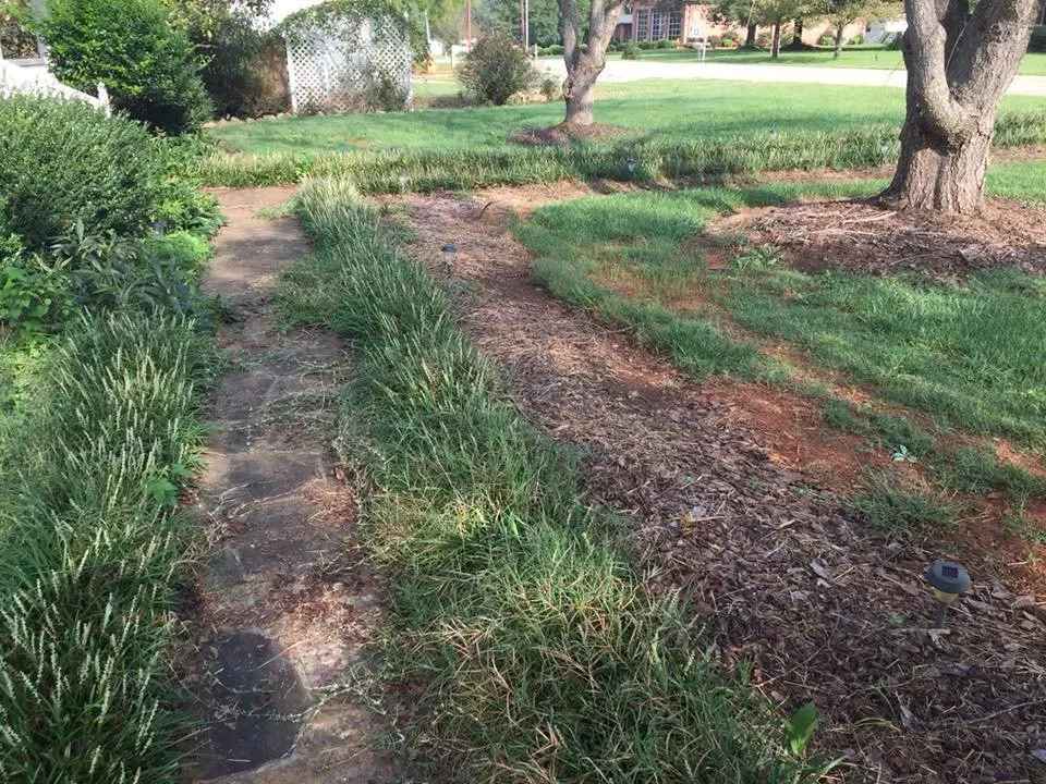 Expert landscape installation for year-round maintenance across Landis, NC - Countryboysconcrete