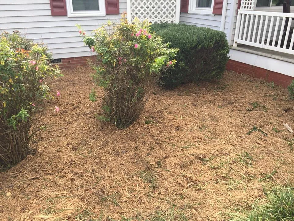 Local lawn mowing service experts serving Landis, NC - Countryboysconcrete