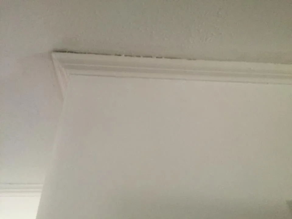 Top-rated yard maintenance for homes in Landis, NC by Countryboysconcrete