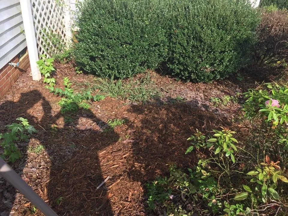 Expert residential landscaping in Landis, NC by Countryboysconcrete