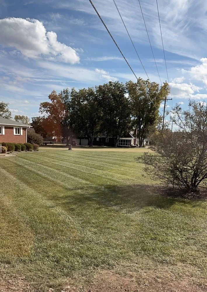 Expert residential landscaping in Concord, NC - Country's Edge Lawn and Landscaping