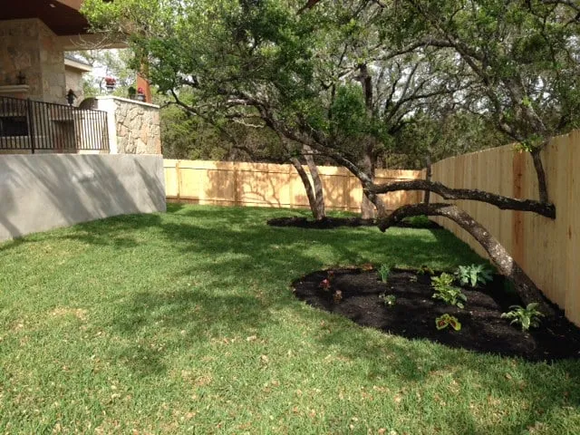 Trusted yard maintenance for year-round maintenance in Round Rock, TX by Countryscapes Irrigation