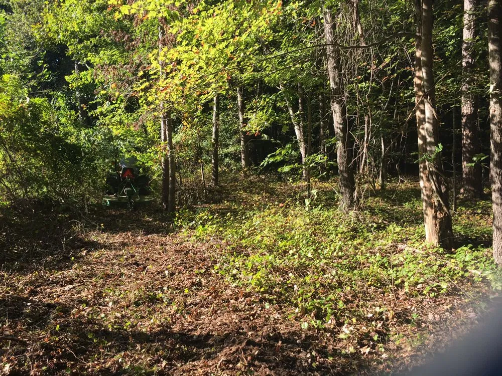 Reliable lawn mowing service experts serving Oxford, NC - CountryScapes Landscaping Services