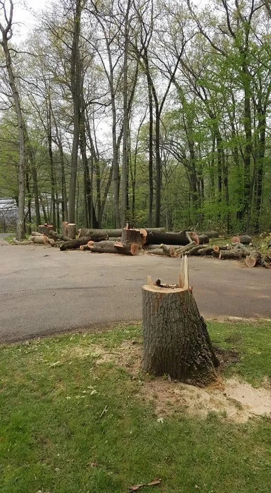 Reliable garden landscaping for year-round maintenance in Fawn Grove, PA by Countryside Cutters