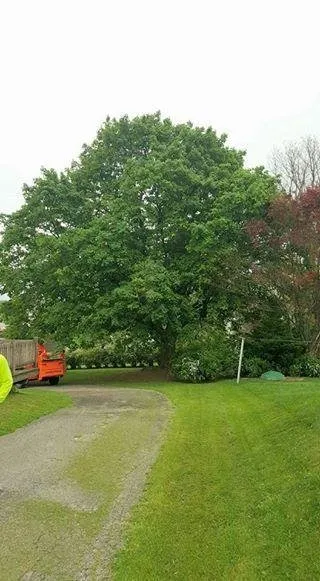 Custom lawn care service experts serving Fawn Grove, PA - Countryside Cutters