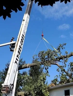 Countryside Cutters