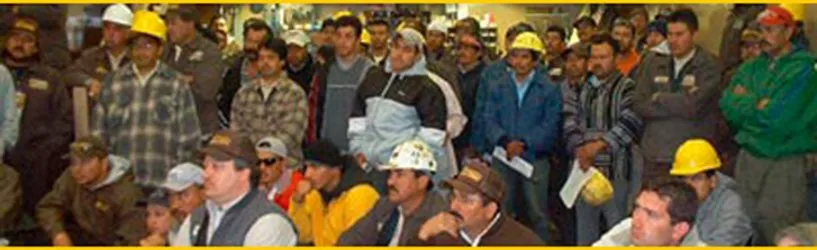 Professional yard maintenance for residential properties across Wauconda, IL - Countryside Industries