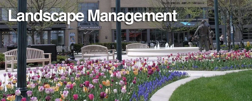 Custom residential landscaping for year-round maintenance in Wauconda, IL by Countryside Industries