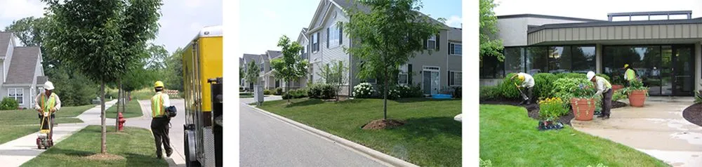 Top-rated residential landscaping with custom design in Wauconda, IL by Countryside Industries