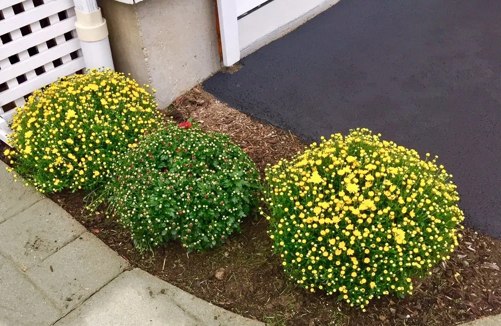 Reliable lawn care service for outdoor upgrades across Thornwood, NY - Countryside Landscape & Design