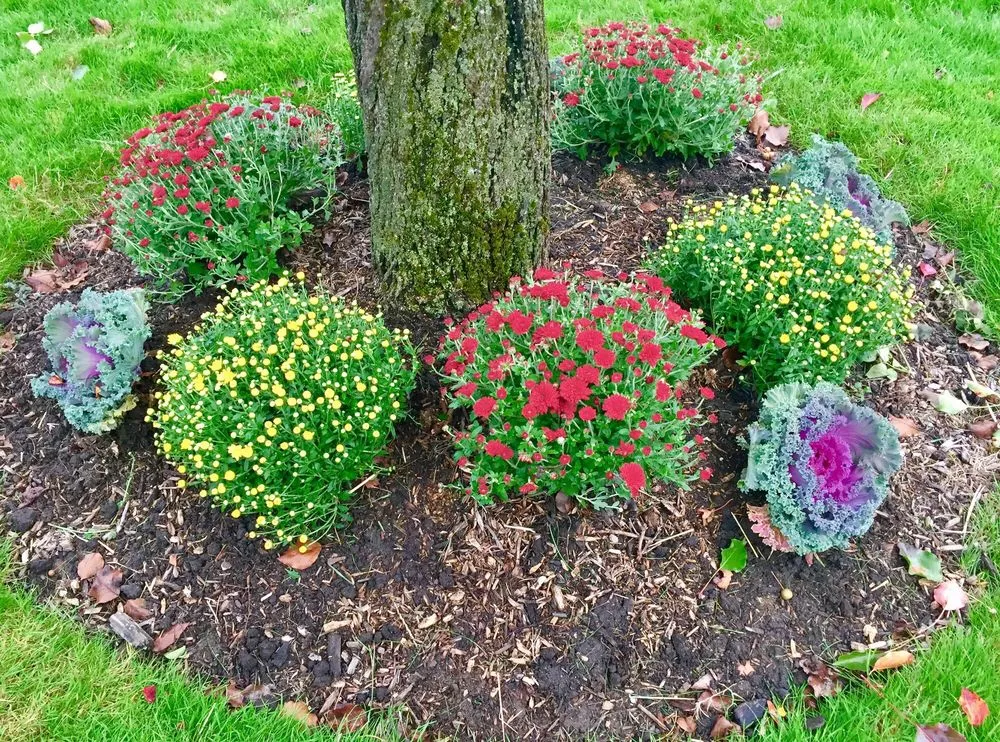 Top-rated outdoor landscaping for beautiful yards in Thornwood, NY by Countryside Landscape & Design