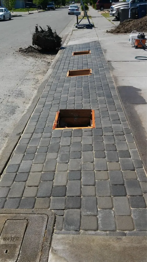 Professional yard cleanup service in Santa Rosa, CA by Countryside Landscape