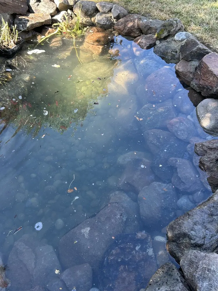 Expert outdoor landscaping with custom design in Santa Rosa, CA by Countryside Landscape