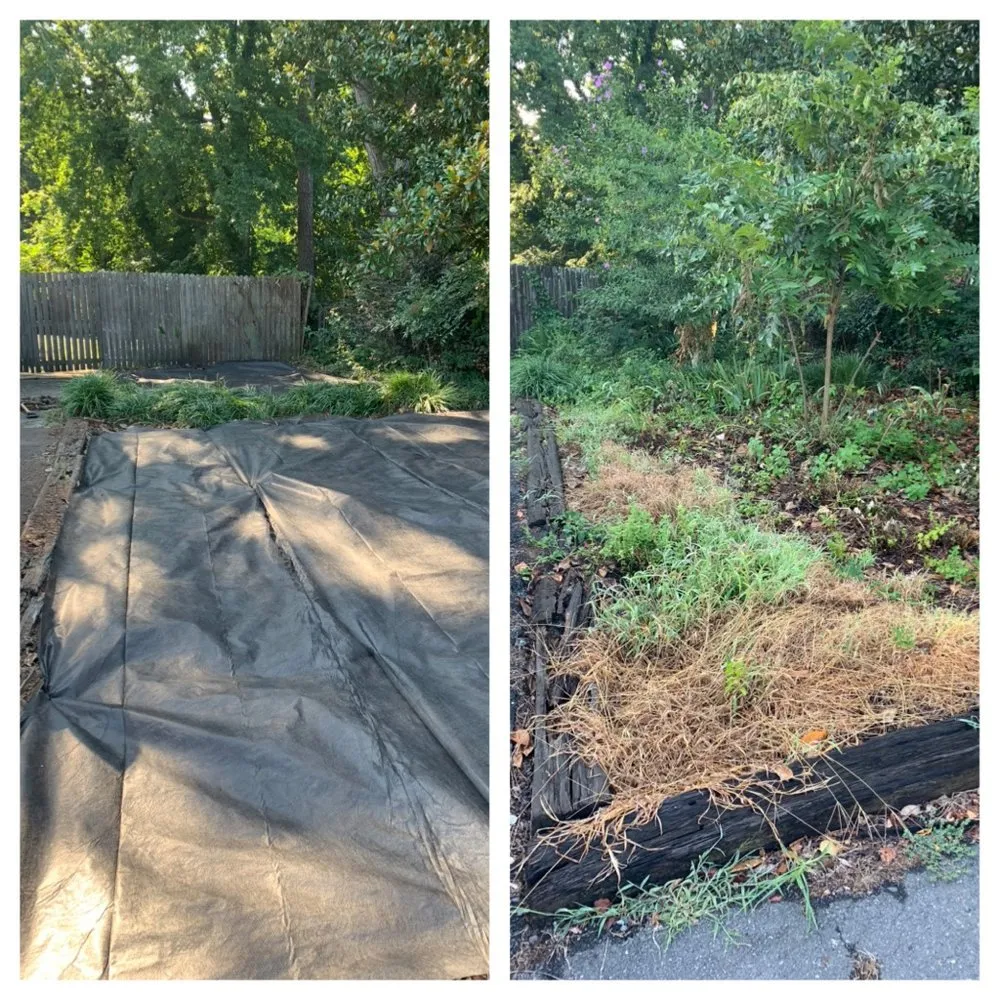 Expert landscape design for homes in Marvin, NC by Countryside Landscapes