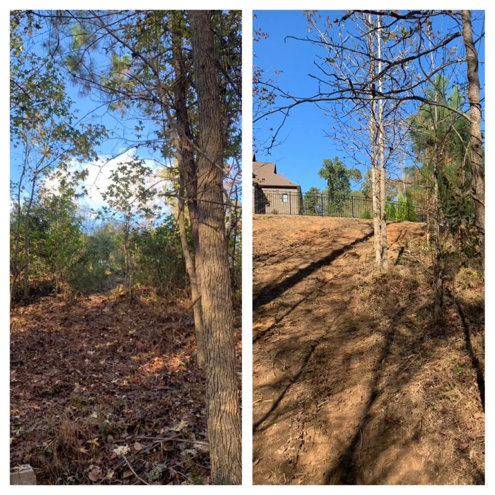 Professional yard cleanup service experts serving Marvin, NC - Countryside Landscapes