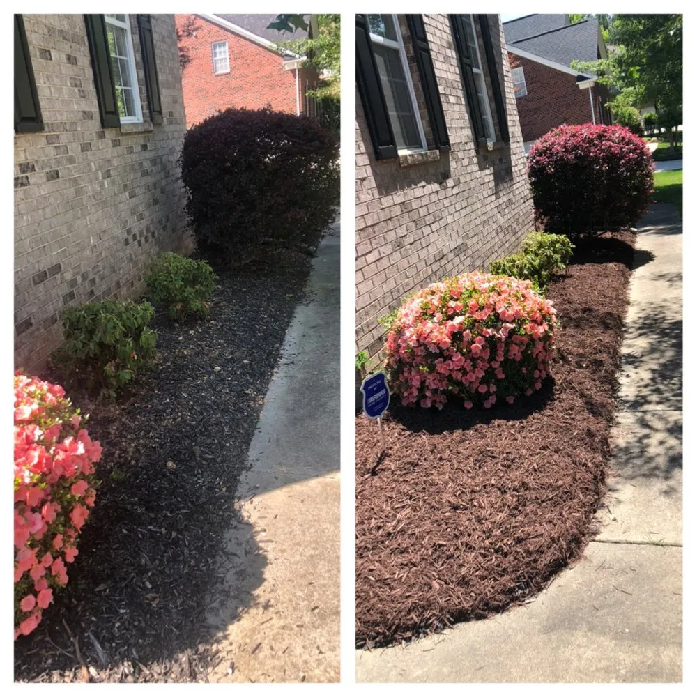 Expert yard cleanup service in Marvin, NC by Countryside Landscapes