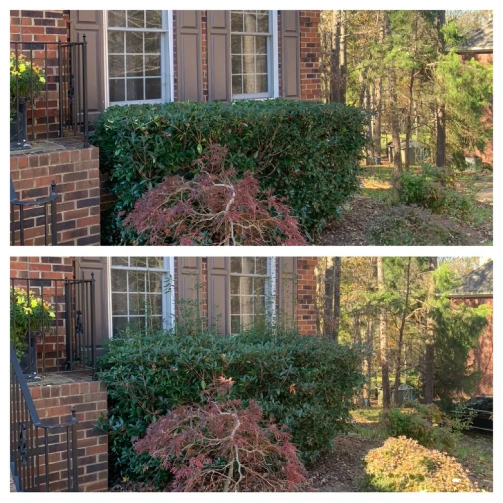 Local lawn care service in Marvin, NC by Countryside Landscapes