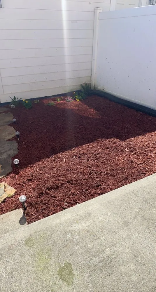 Local yard cleanup service in Marvin, NC by Countryside Landscapes