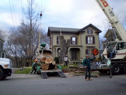 Reliable yard maintenance for outdoor upgrades in High Bridge, NJ by Countryside Landscaping & Tree Experts