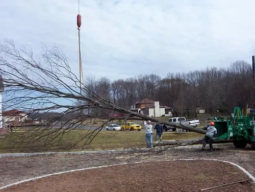 Local lawn care service in High Bridge, NJ by Countryside Landscaping & Tree Experts