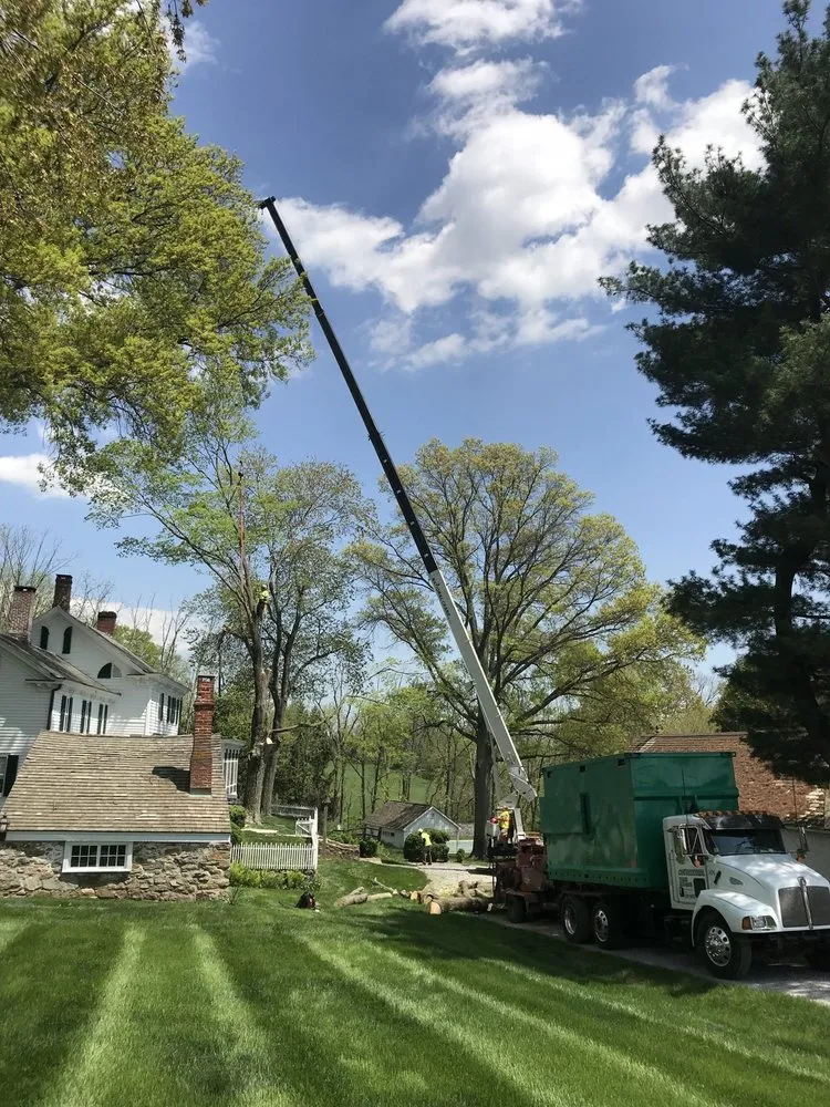 Professional landscaping services for residential properties across High Bridge, NJ - Countryside Landscaping & Tree Experts