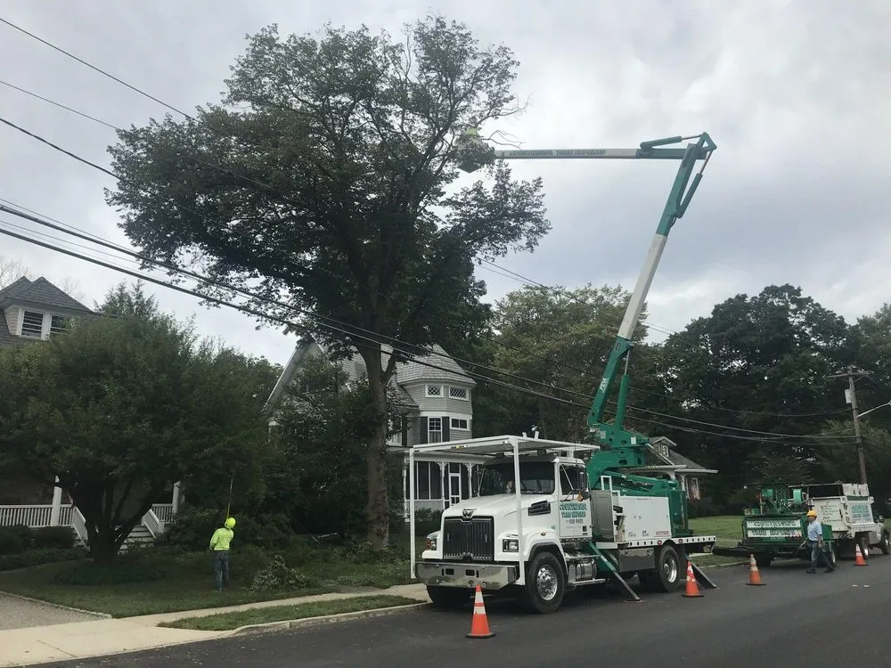 Professional yard maintenance for year-round maintenance across High Bridge, NJ - Countryside Landscaping & Tree Experts