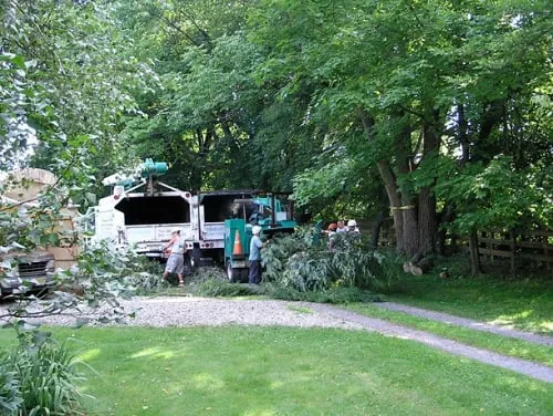 Reliable residential landscaping in High Bridge, NJ - Countryside Landscaping & Tree Experts
