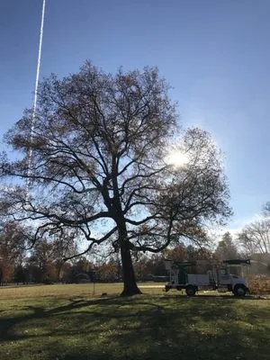 Countryside Landscaping & Tree Experts