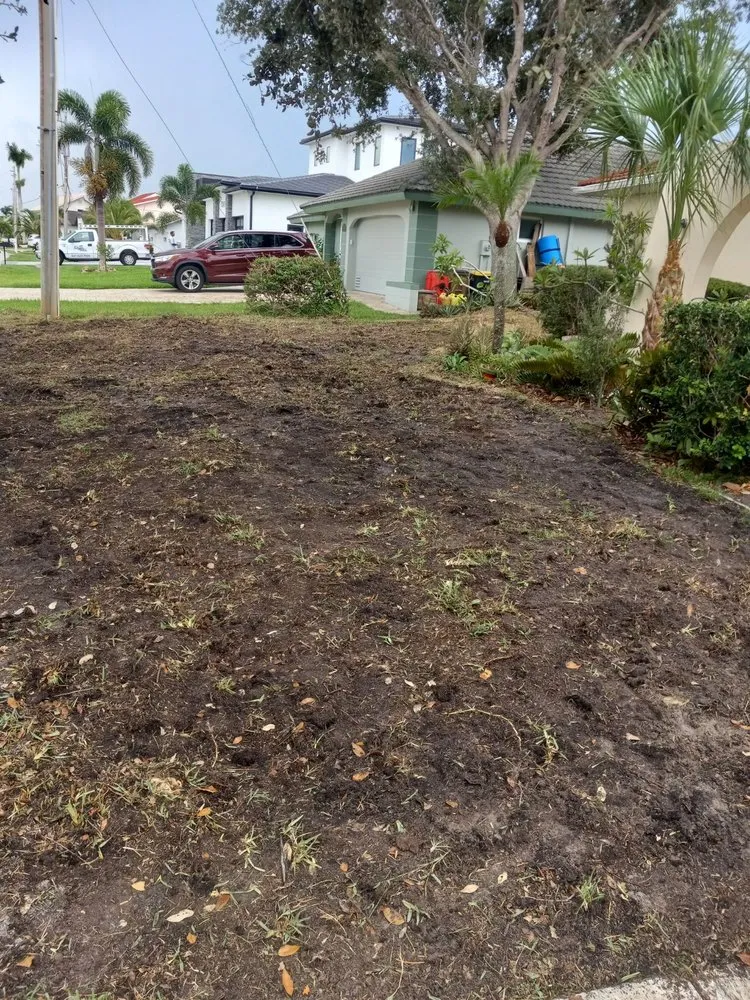 Local yard maintenance for year-round maintenance across North Fort Myers, FL - Countryside Landscaping and More