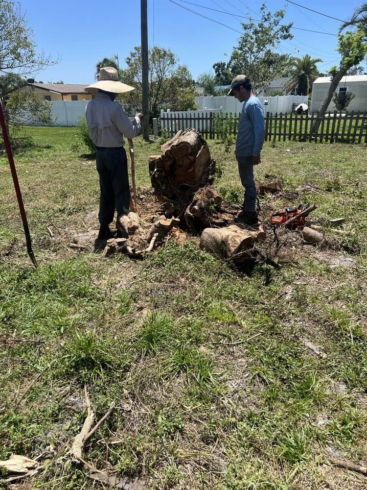 Custom landscaping services for outdoor upgrades across North Fort Myers, FL - Countryside Landscaping and More