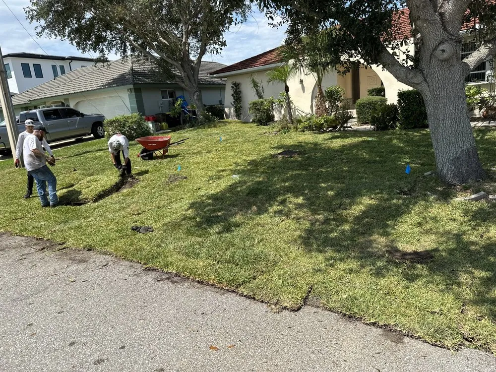 Custom landscape installation experts serving North Fort Myers, FL - Countryside Landscaping and More