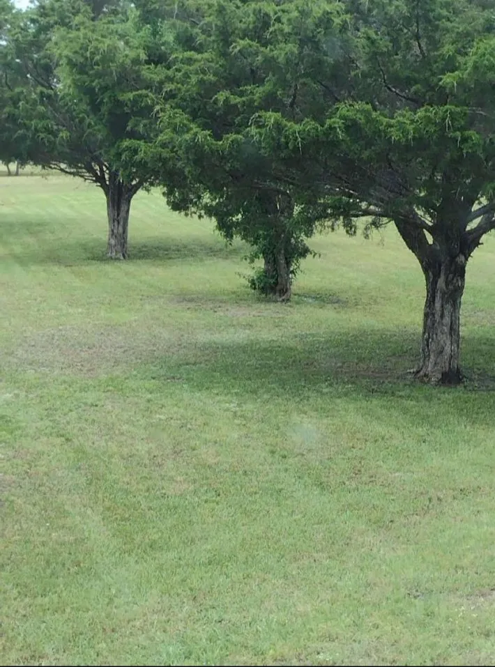 Affordable lawn care service for residential properties in Grand Saline, TX by Countryside Landscaping Pro’s