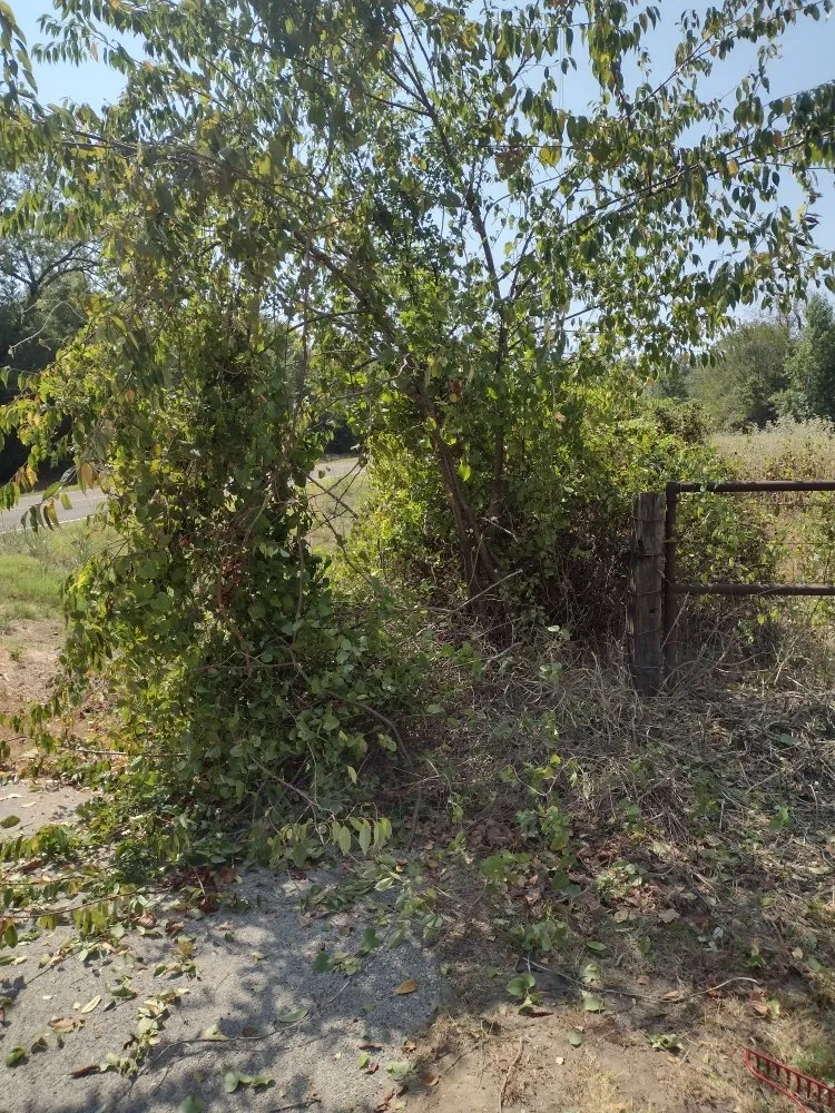 Trusted landscape design experts serving Grand Saline, TX - Countryside Landscaping Pro’s