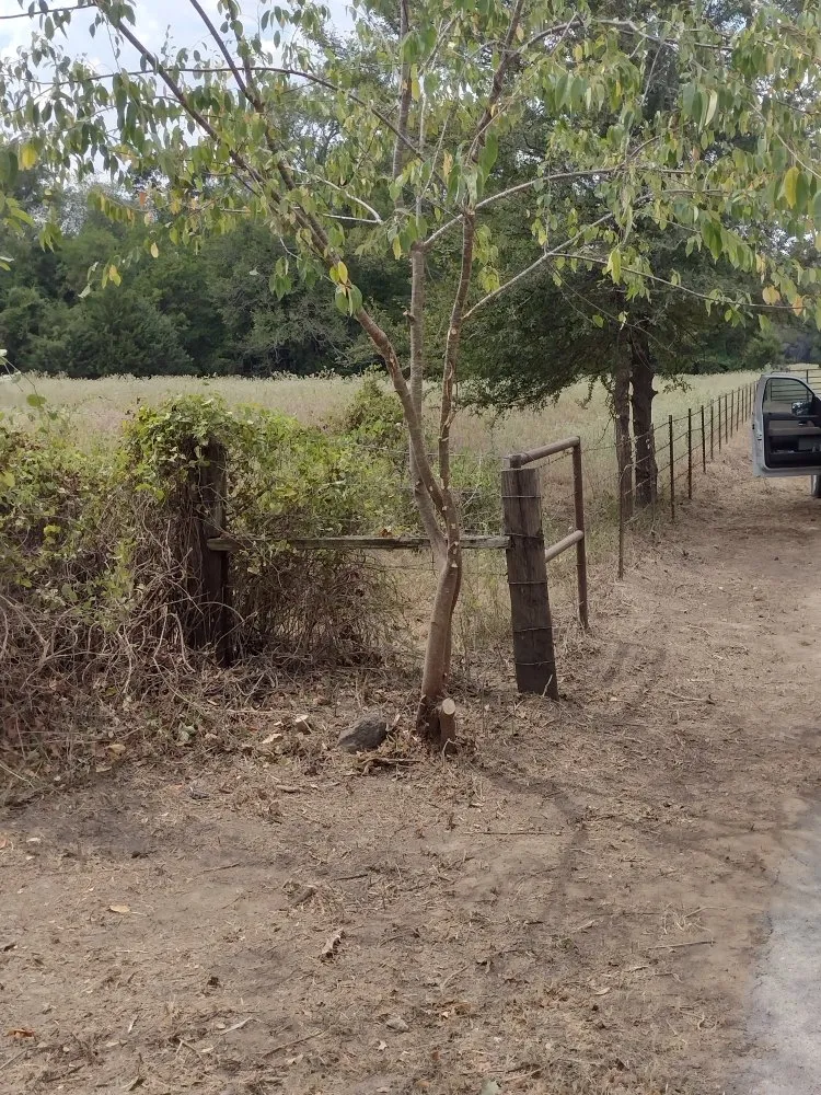 Professional landscaping services experts serving Grand Saline, TX - Countryside Landscaping Pro’s