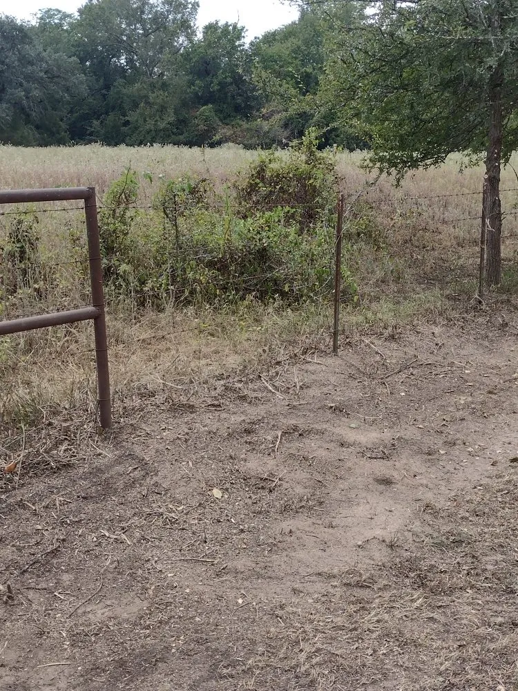 Professional yard maintenance in Grand Saline, TX - Countryside Landscaping Pro’s